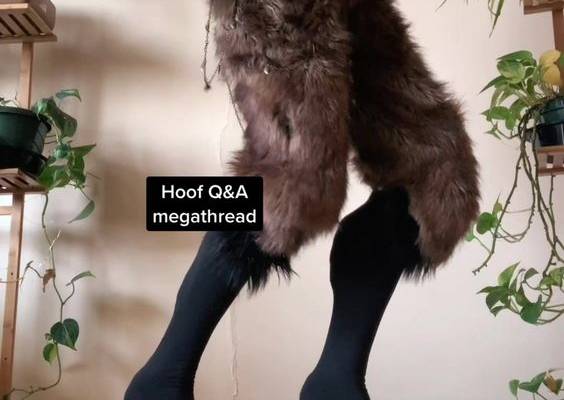 TikTok · Cecil the Faun