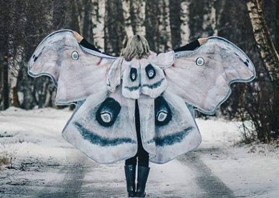 Moth costume