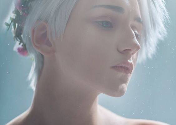 The Alpha's Mate - The Alpha's Mate Main Character Bio's/Pack Hierarchy