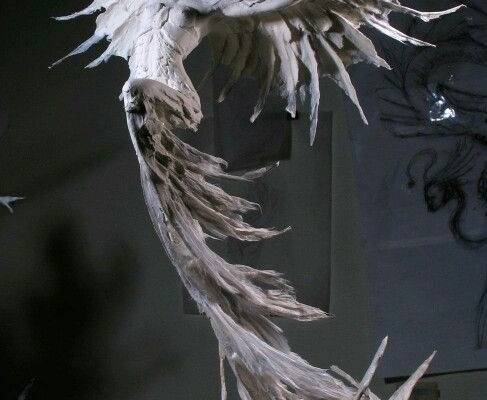 lucas — forest rogers