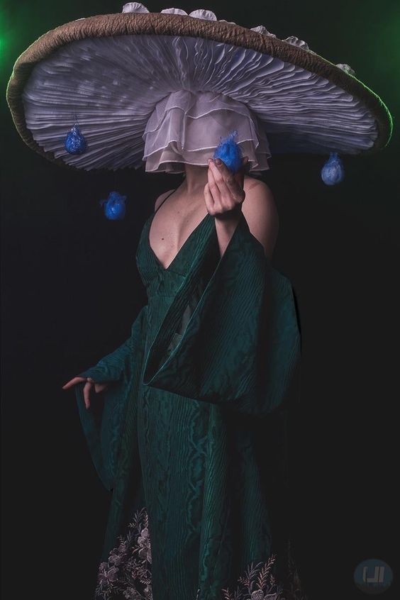Mushroom costume