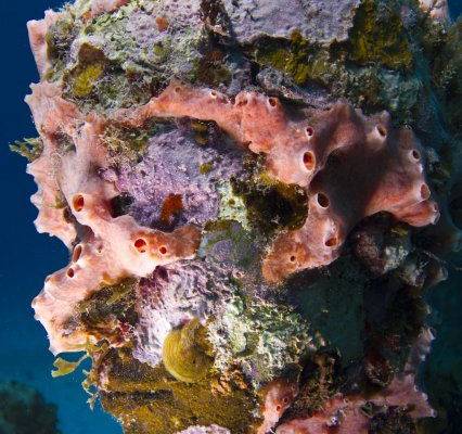 Overview - Underwater Sculpture by Jason deCaires Taylor