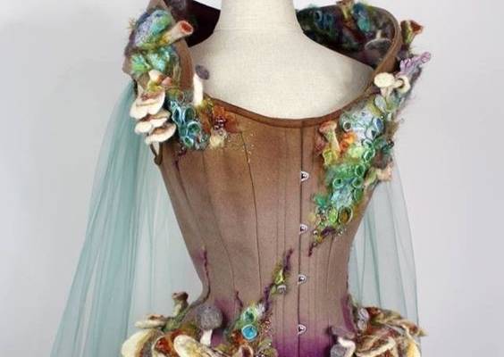 Rainbowcurvecorsetery
