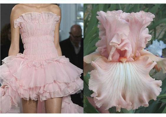 The blog Where I See Fashion shows the powerful link between the natural world and fashion inspiration.