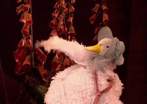 其中包括：Ballet dancer dressed as Beatrix Potter's character Jemima Puddle-Duck dances on stage at the Royal Opera House.
