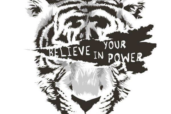 老虎字母印花图案服装裁片T恤卫衣烫图印花花型素材