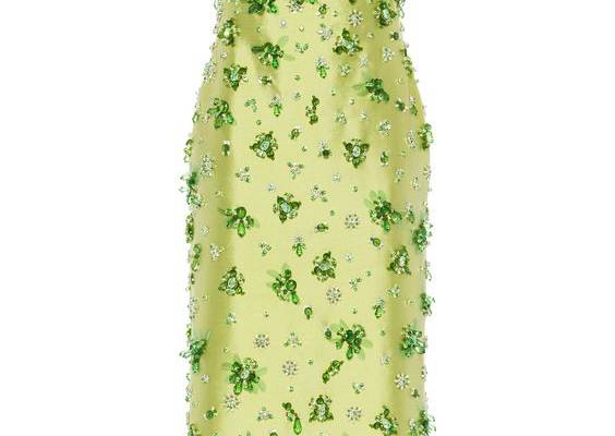 Miu Miu Fashion Collections For Women | Moda Operandi