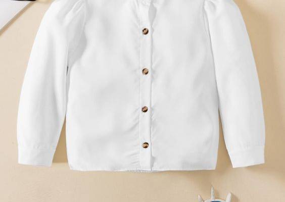 White Casual  Long Sleeve Polyester Plain Shirt  Non-Stretch Spring/Fall Toddler Girls Clothing