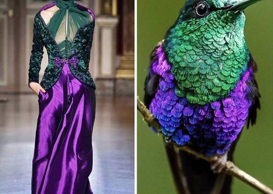 Fashion Often Draws Inspiration From Nature And This Instagram Account Proves It (30 Pics)
