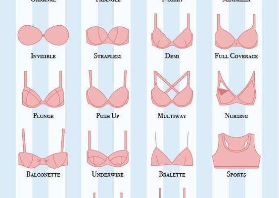 Know Your Bras Guide [Infographic]