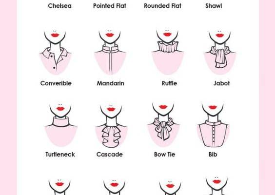 Types of Collars - A to Z of Collars