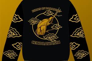 祥云飞禽字母印花花型素材矢量图