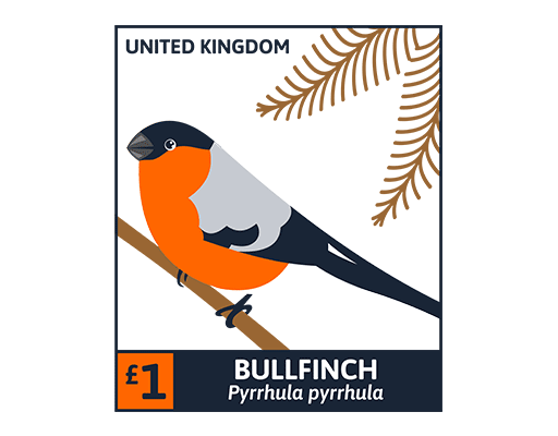 卡通动物图案卡通鸟图案喜鹊图案女装印花素材