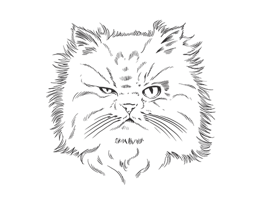 卡通猫头像手绘猫咪可爱猫头女装印花素材卡通动物图案