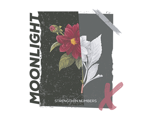 手绘花朵图案手绘玫瑰花朵女装印花素材玫瑰花朵照片卡通英文字母女装植物图案