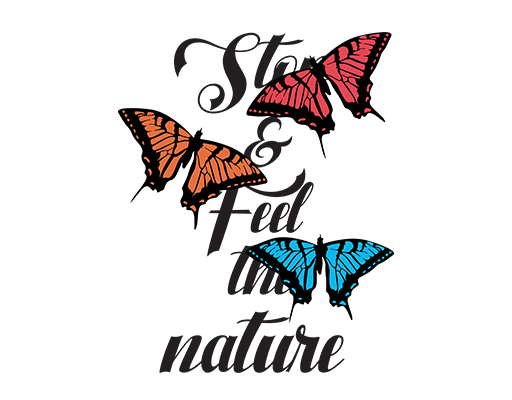 卡通蝴蝶图案手写英文字母图案三只蝴蝶女装印花素材卡通动物印花素材