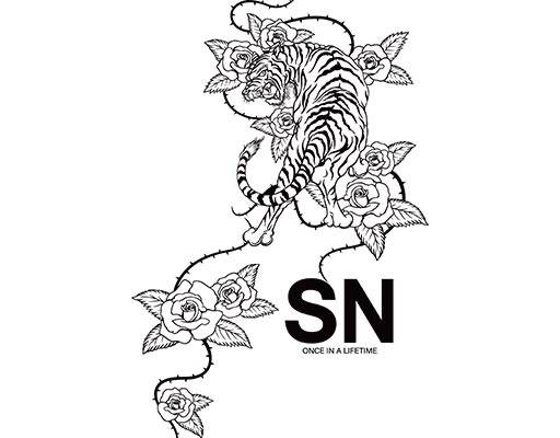 卡通动物老虎花朵矢量鲜花图案手绘动物图案