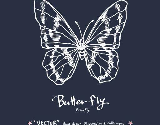 卡通蝴蝶矢量手绘蝴蝶手写英文字母蝴蝶线条