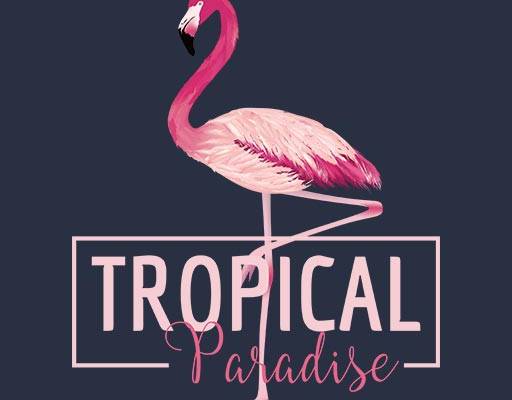 火烈鸟矢量卡通动物矢量英文字母矢量