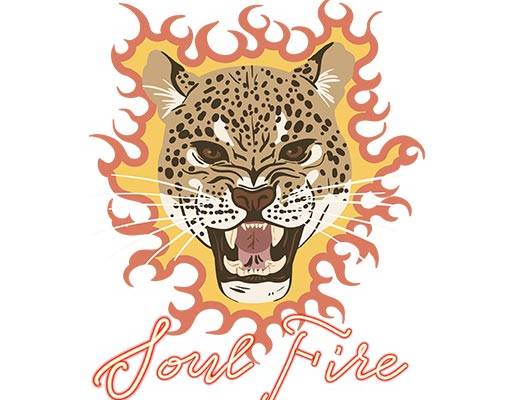 卡通豹子图案火焰图案金钱豹图案手写英文字母图案豹子头像图案卡通动物头像