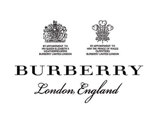 英文字母矢量burberry文字矢量巴宝莉图案矢量羽毛矢量绣章矢量