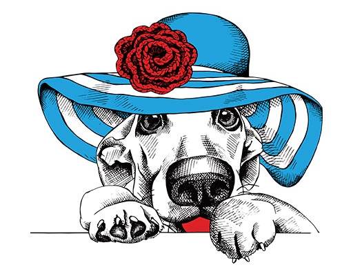 卡通小狗矢量戴帽子的小狗手绘卡通动物矢量哈巴狗矢量