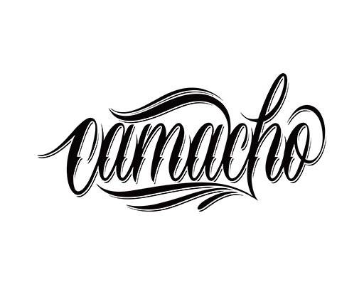 手写英文字母矢量简约文字矢量飘逸英文字母矢量