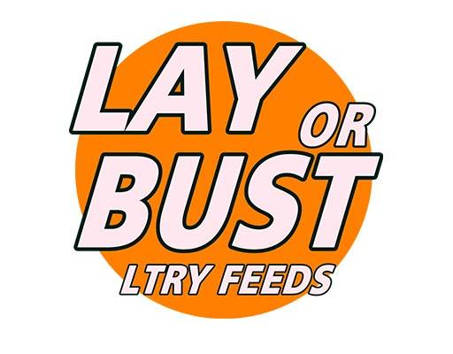 英文字母图案简笔文字圆形图案简约文字图案