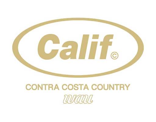 calif英文字母矢量素材女装印花图案字母图案