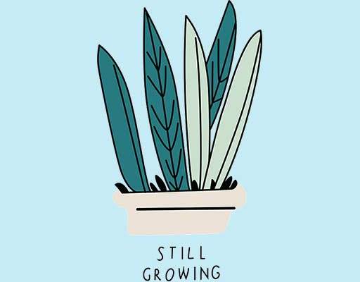 植物矢手绘植物芦荟植物矢量叶子线稿矢量简笔植物