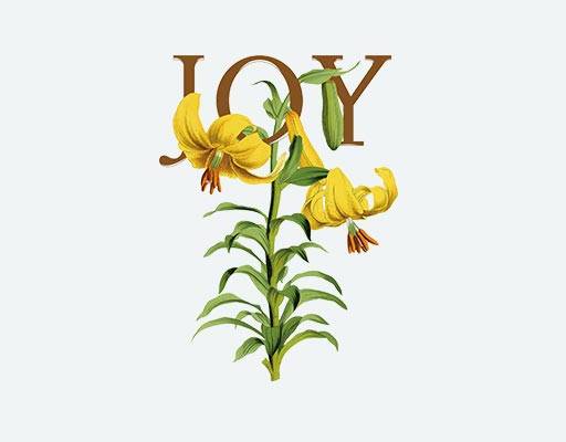 手绘花卉矢量素材英文字母花朵百合花朵黄色花朵植物