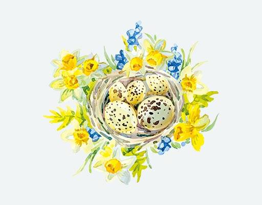 手绘花朵矢量鸟窝鸟蛋图案黄色花