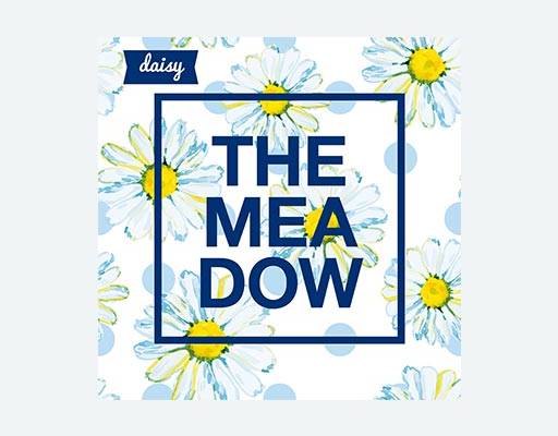 花卉矢量菊花花朵植物矢量卡通英文字母矢量白色菊花白色花朵