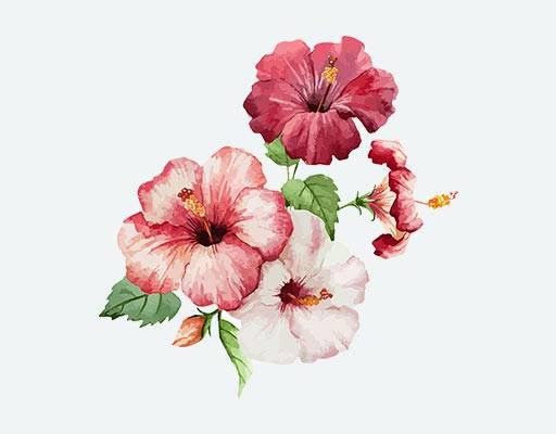 彩色花朵矢量喇叭花矢量水彩花朵矢量牵牛花矢量鲜花花卉矢量