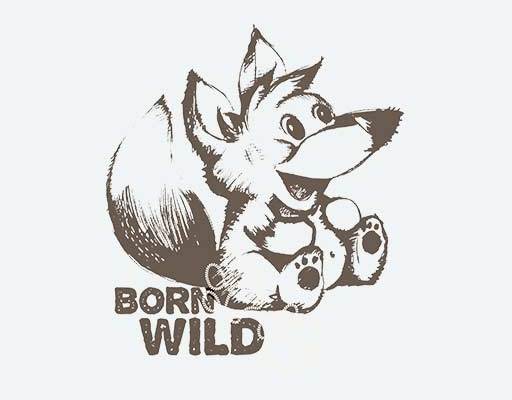 卡通动物矢量卡通松鼠熊矢量手绘卡通浣熊