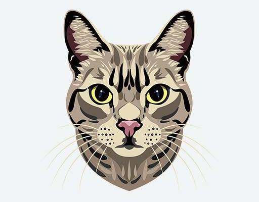 卡通猫咪矢量豹纹猫图案高清猫咪素材棕色猫图案