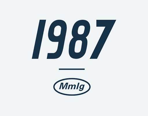 字母数字图案1987年份字母数字