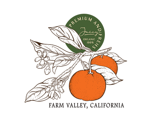 卡通苹果图案手绘桔子水果图案男装印花素材