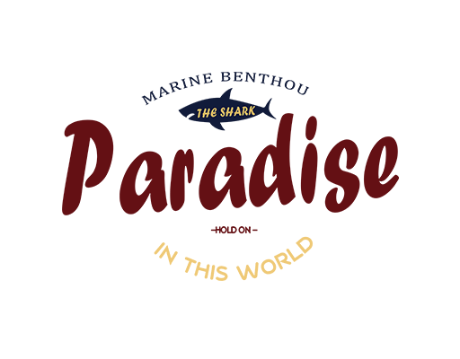 卡通鲨鱼图案卡通英文字母图案男装印花素材鲨鱼剪影