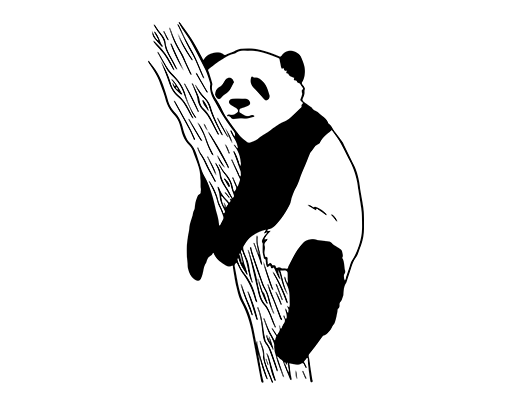 卡通熊猫图案手绘熊猫可爱卡通动物男装印花素材黑白熊猫