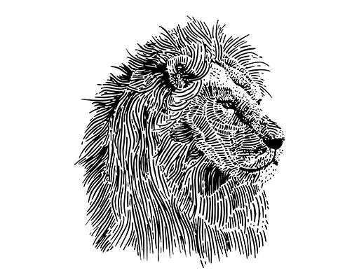 卡通狮子头像手绘狮子男装印花素材狮子线条狮子钢笔画