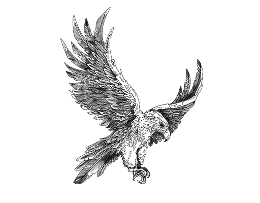 卡通老鹰图案手绘老鹰印花素材涂鸦老鹰图案男装印花素材