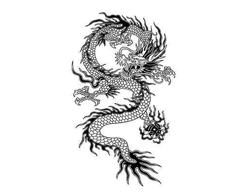 卡通龙图案手绘龙印花素材男装印花图案中国图腾图案