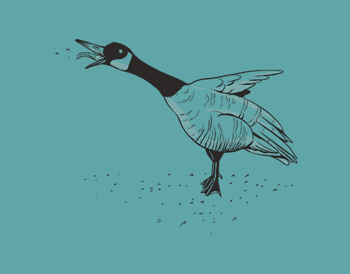 卡通鸭子图案手绘卡通动物男装印花素材手绘鸭