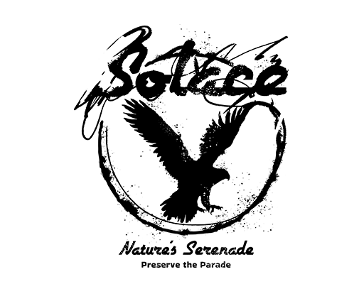 手写英文字母图案涂鸦英文字母卡通鸟图案老鹰图案喷溅图案