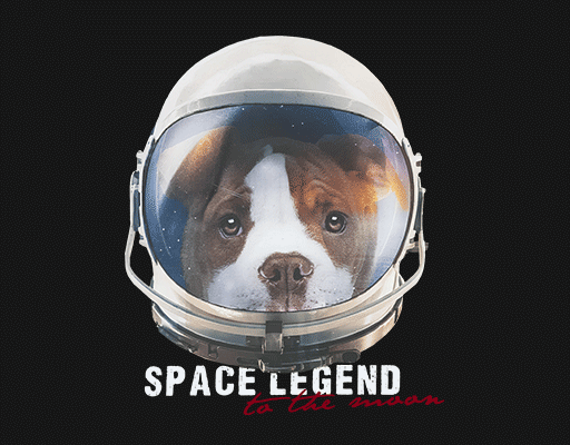 卡通狗头像宇航员狗带头盔的狗卡通英文字母男装烫画素材数码印图案