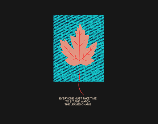 卡通树叶图案枫叶图案牛仔面料男装印花素材叶子图案男装卫衣印花图案