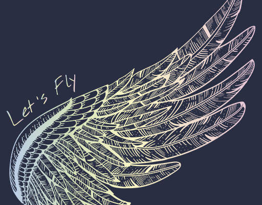 彩色翅膀矢量老鹰翅膀鸟翅膀图案渐变翅膀线条矢量