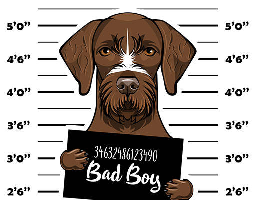 卡通小狗矢量犯罪狗矢量小狗头像矢量数字字母矢量