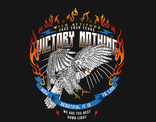 卡通老鹰图案手绘老鹰火焰图案男装印花图案变形英文字母图案手绘鹰印花素材